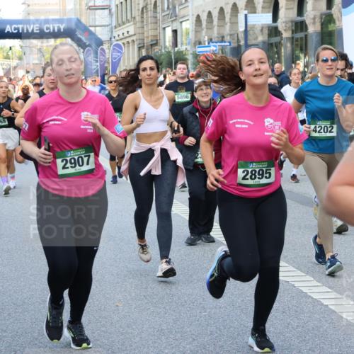 07.09.2025 - BARMER Alsterlauf Strokosch-Dieckow http://msf.ph/oto/8770713 07.09.2025 10:10:20 Ziel 2091, 2116, 2422, 2558, 3043, 3044, 3088, 3481, 3606, 3647, 3687, 3700, 4137, 4239, 4261, 4313, 4615, 4748, 4796, 4912, 4913, 5010, 5581, 5624, 5703, 5988, 6052, 6054, 6177, 8078, 8079, 8471 meine-sportfotos.de
