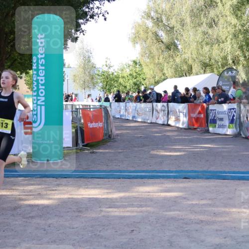 07.09.2025 - 19. Norderstedt Triathlon Zöllner http://msf.ph/oto/8770718 07.09.2025 09:47:51 Ziel 563, 601, 613 meine-sportfotos.de