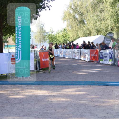 07.09.2025 - 19. Norderstedt Triathlon Zöllner http://msf.ph/oto/8770861 07.09.2025 09:48:28 Ziel 576, 598, 603, 607, 623 meine-sportfotos.de
