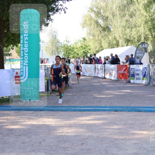 07.09.2025 - 19. Norderstedt Triathlon Zöllner http://msf.ph/oto/8771085 07.09.2025 09:49:26 Ziel 554, 567, 574 meine-sportfotos.de