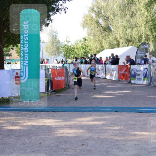 07.09.2025 - 19. Norderstedt Triathlon Zöllner http://msf.ph/oto/8771116 07.09.2025 09:49:42 Ziel 555, 624 meine-sportfotos.de