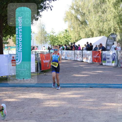 07.09.2025 - 19. Norderstedt Triathlon Zöllner http://msf.ph/oto/8771158 07.09.2025 09:49:45 Ziel 555, 624 meine-sportfotos.de