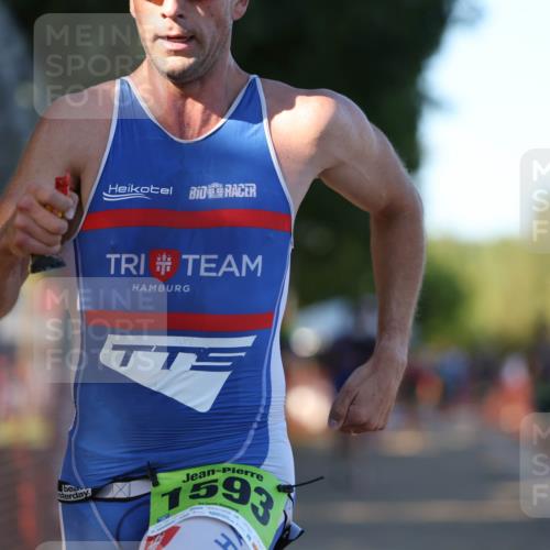 07.09.2025 - 19. Norderstedt Triathlon Michael Strokosch http://msf.ph/oto/8771189 07.09.2025 16:29:34 Laufen 496, 544, 1098, 1550, 1593, 1595 meine-sportfotos.de