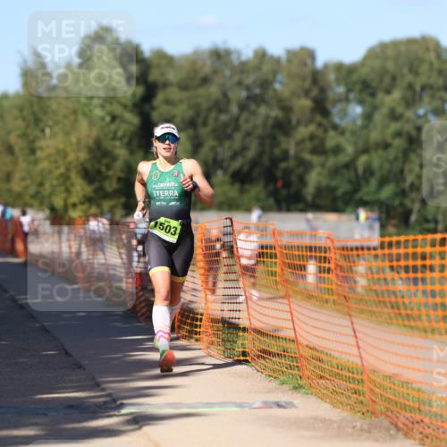 07.09.2025 - 19. Norderstedt Triathlon Michael Strokosch http://msf.ph/oto/8771267 07.09.2025 15:32:57 Laufen 1019, 1503 meine-sportfotos.de