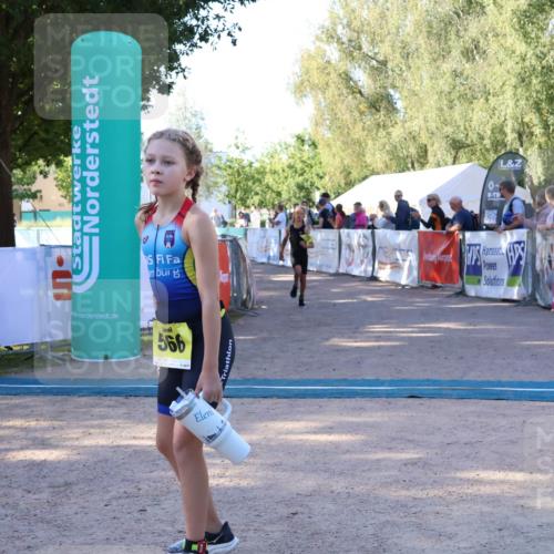 07.09.2025 - 19. Norderstedt Triathlon Zöllner http://msf.ph/oto/8771343 07.09.2025 09:50:24 Ziel 584, 619 meine-sportfotos.de