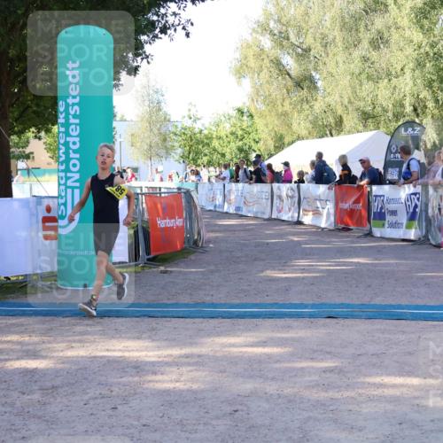 07.09.2025 - 19. Norderstedt Triathlon Zöllner http://msf.ph/oto/8771373 07.09.2025 09:50:27 Ziel 584 meine-sportfotos.de