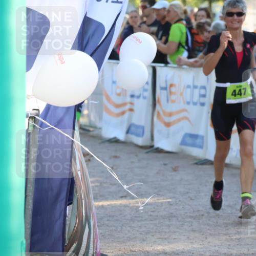 07.09.2025 - 19. Norderstedt Triathlon Zöllner http://msf.ph/oto/8771375 07.09.2025 16:45:57 Ziel 447, 1089, 1492 meine-sportfotos.de