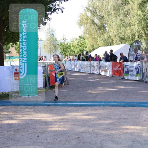 07.09.2025 - 19. Norderstedt Triathlon Zöllner http://msf.ph/oto/8771401 07.09.2025 09:50:36 Ziel 565 meine-sportfotos.de