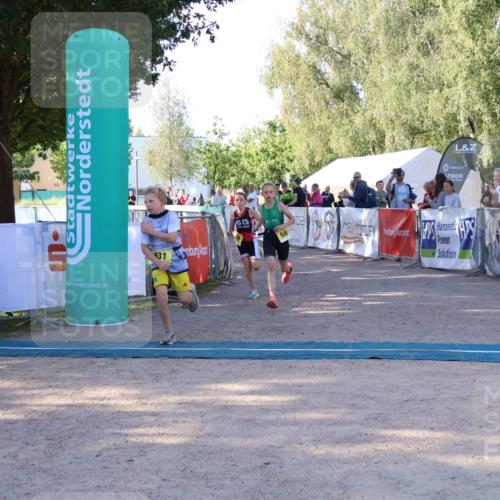 07.09.2025 - 19. Norderstedt Triathlon Zöllner http://msf.ph/oto/8771571 07.09.2025 09:52:28 Ziel 579, 580, 631, 632 meine-sportfotos.de