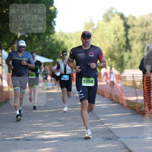 07.09.2025 - 19. Norderstedt Triathlon Michael Strokosch http://msf.ph/oto/8771691 07.09.2025 16:31:14 Laufen 873, 1082, 1476, 1558 meine-sportfotos.de