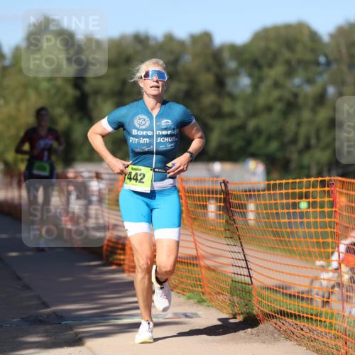 07.09.2025 - 19. Norderstedt Triathlon Michael Strokosch http://msf.ph/oto/8772237 07.09.2025 15:36:09 Laufen 438, 442, 1012 meine-sportfotos.de