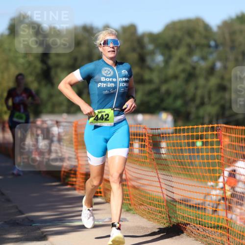 07.09.2025 - 19. Norderstedt Triathlon Michael Strokosch http://msf.ph/oto/8772241 07.09.2025 15:36:09 Laufen 438, 442, 1012 meine-sportfotos.de