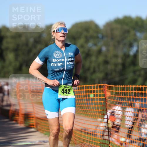 07.09.2025 - 19. Norderstedt Triathlon Michael Strokosch http://msf.ph/oto/8772256 07.09.2025 15:36:10 Laufen 438, 442, 1012 meine-sportfotos.de