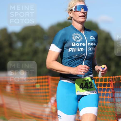 07.09.2025 - 19. Norderstedt Triathlon Michael Strokosch http://msf.ph/oto/8772275 07.09.2025 15:36:11 Laufen 438, 442, 1012 meine-sportfotos.de