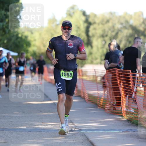 07.09.2025 - 19. Norderstedt Triathlon Michael Strokosch http://msf.ph/oto/8775599 07.09.2025 16:44:33 Laufen 893, 902, 1449, 1558 meine-sportfotos.de