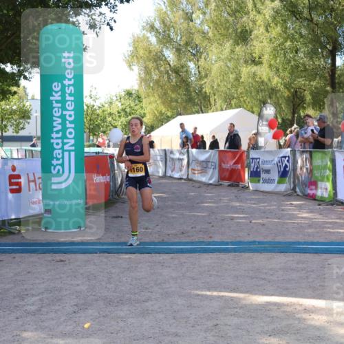 07.09.2025 - 19. Norderstedt Triathlon Zöllner http://msf.ph/oto/8775662 07.09.2025 11:50:13 Ziel 1160 meine-sportfotos.de