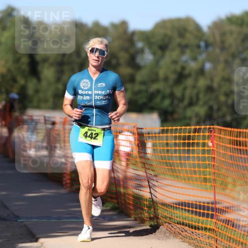 07.09.2025 - 19. Norderstedt Triathlon Michael Strokosch http://msf.ph/oto/8776092 07.09.2025 15:47:14 Laufen 420, 442, 1430 meine-sportfotos.de