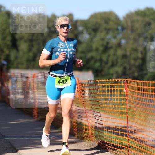 07.09.2025 - 19. Norderstedt Triathlon Michael Strokosch http://msf.ph/oto/8776096 07.09.2025 15:47:14 Laufen 420, 442, 1430 meine-sportfotos.de