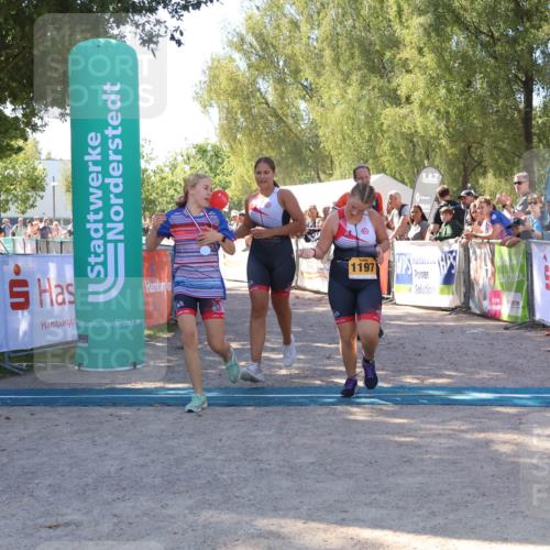 07.09.2025 - 19. Norderstedt Triathlon Zöllner http://msf.ph/oto/8778340 07.09.2025 12:29:03 Ziel 736, 1197, 1348 meine-sportfotos.de