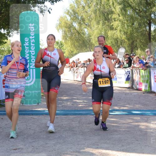 07.09.2025 - 19. Norderstedt Triathlon Zöllner http://msf.ph/oto/8778355 07.09.2025 12:29:04 Ziel 736, 1197, 1348 meine-sportfotos.de