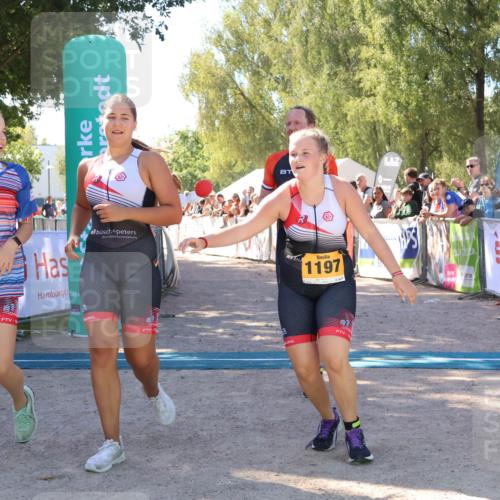 07.09.2025 - 19. Norderstedt Triathlon Zöllner http://msf.ph/oto/8778363 07.09.2025 12:29:05 Ziel 736, 1197, 1348 meine-sportfotos.de