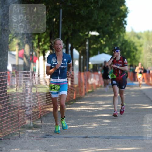 07.09.2025 - 19. Norderstedt Triathlon Michael Strokosch http://msf.ph/oto/8778617 07.09.2025 15:55:25 Laufen 439, 443, 450, 1510 meine-sportfotos.de