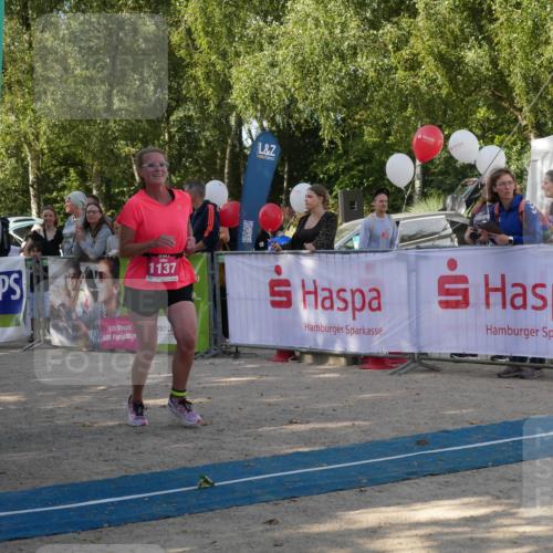 07.09.2025 - 19. Norderstedt Triathlon Zöllner http://msf.ph/oto/8780756 07.09.2025 10:55:12 Ziel 678, 1137, 1143 meine-sportfotos.de