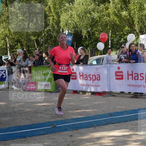 07.09.2025 - 19. Norderstedt Triathlon Zöllner http://msf.ph/oto/8780762 07.09.2025 10:55:12 Ziel 678, 1137, 1143 meine-sportfotos.de