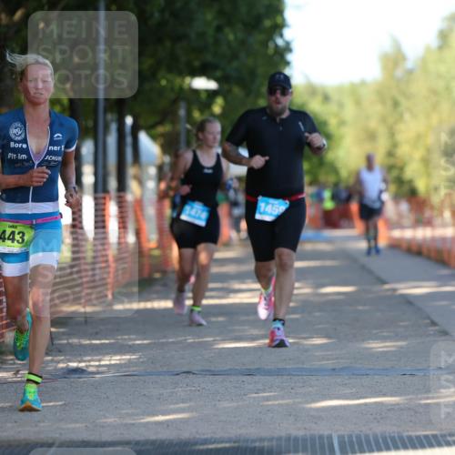 07.09.2025 - 19. Norderstedt Triathlon Michael Strokosch http://msf.ph/oto/8781635 07.09.2025 16:08:02 Laufen 387, 443, 514, 519, 542, 1474 meine-sportfotos.de