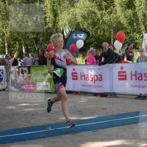 07.09.2025 - 19. Norderstedt Triathlon Zöllner http://msf.ph/oto/8782541 07.09.2025 11:05:14 Ziel 80, 100, 641 meine-sportfotos.de