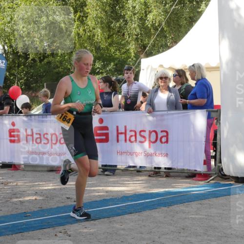 07.09.2025 - 19. Norderstedt Triathlon Zöllner http://msf.ph/oto/8784290 07.09.2025 12:10:43 Ziel 1164, 1279 meine-sportfotos.de