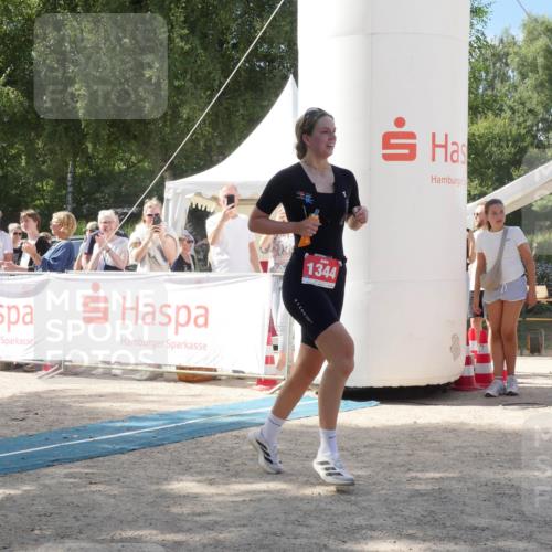 07.09.2025 - 19. Norderstedt Triathlon Zöllner http://msf.ph/oto/8788558 07.09.2025 13:48:46 Ziel 153, 264, 334, 1292, 1344 meine-sportfotos.de