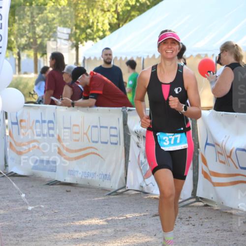 07.09.2025 - 19. Norderstedt Triathlon Zöllner http://msf.ph/oto/8790396 07.09.2025 16:26:48 Ziel 377 meine-sportfotos.de