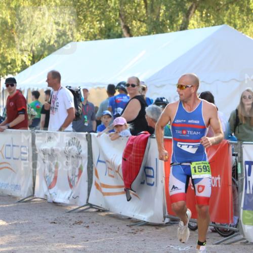 07.09.2025 - 19. Norderstedt Triathlon Zöllner http://msf.ph/oto/8790920 07.09.2025 16:29:52 Ziel 496, 544, 1593 meine-sportfotos.de