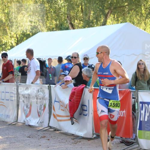 07.09.2025 - 19. Norderstedt Triathlon Zöllner http://msf.ph/oto/8790922 07.09.2025 16:29:52 Ziel 496, 544, 1593 meine-sportfotos.de