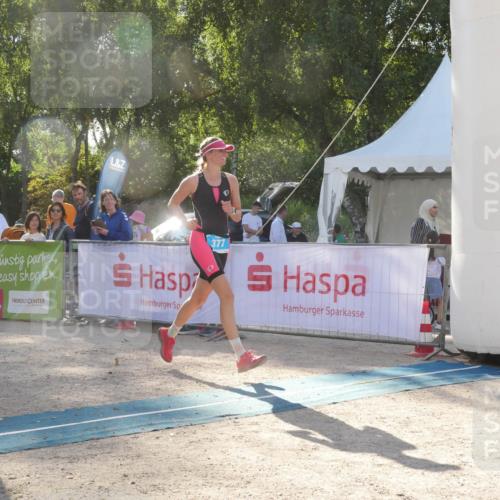07.09.2025 - 19. Norderstedt Triathlon Zöllner http://msf.ph/oto/8792473 07.09.2025 16:26:52 Ziel 377, 542 meine-sportfotos.de