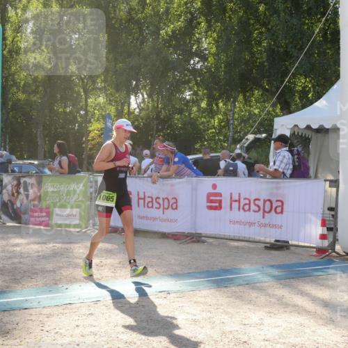 07.09.2025 - 19. Norderstedt Triathlon Zöllner http://msf.ph/oto/8793520 07.09.2025 16:37:20 Ziel 530, 1065, 1495 meine-sportfotos.de
