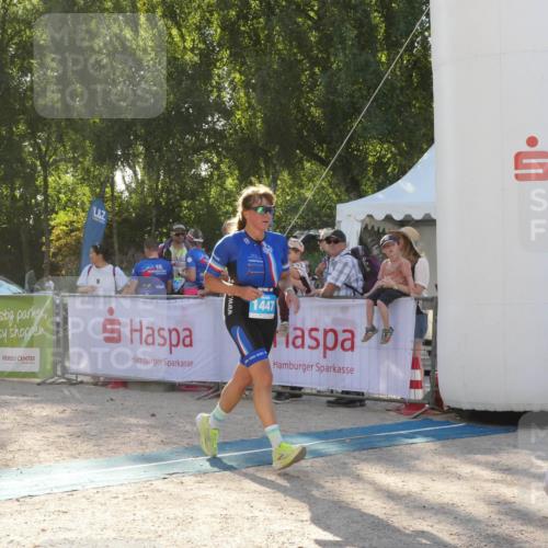 07.09.2025 - 19. Norderstedt Triathlon Zöllner http://msf.ph/oto/8793856 07.09.2025 16:40:52 Ziel 1403, 1447, 1573, 1614 meine-sportfotos.de