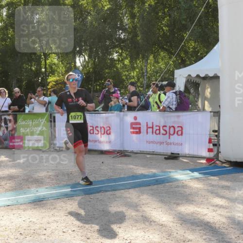 07.09.2025 - 19. Norderstedt Triathlon Zöllner http://msf.ph/oto/8794501 07.09.2025 16:48:49 Ziel 1077, 1093 meine-sportfotos.de