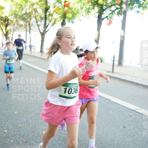 07.09.2025 - BARMER Alsterlauf Yannick Fuchs http://msf.ph/oto/8796261 07.09.2025 11:44:27 Laufen 1036 meine-sportfotos.de