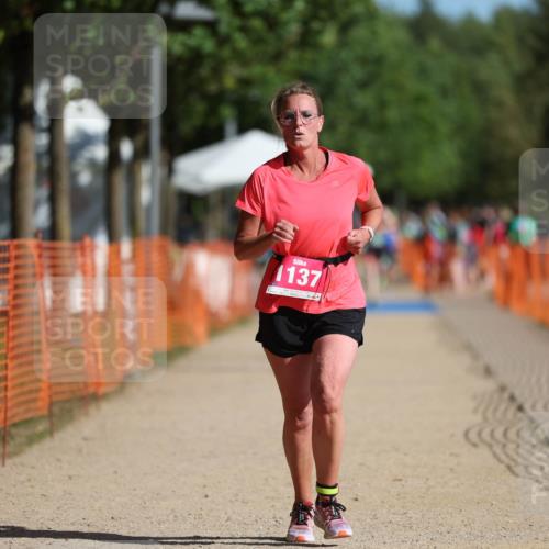 07.09.2025 - 19. Norderstedt Triathlon Michael Strokosch http://msf.ph/oto/8798130 07.09.2025 10:54:32 Laufen 1137, 1143 meine-sportfotos.de