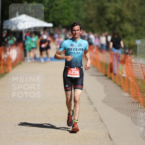07.09.2025 - 19. Norderstedt Triathlon Michael Strokosch http://msf.ph/oto/8798175 07.09.2025 12:24:39 Laufen 826, 1239 meine-sportfotos.de