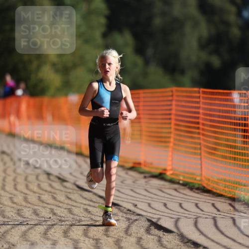 07.09.2025 - 19. Norderstedt Triathlon Michael Strokosch http://msf.ph/oto/8798790 07.09.2025 09:11:45 Laufen 46, 50, 53 meine-sportfotos.de