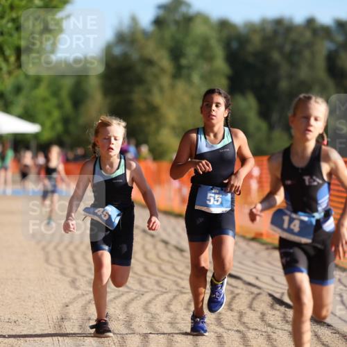 07.09.2025 - 19. Norderstedt Triathlon Michael Strokosch http://msf.ph/oto/8799878 07.09.2025 09:13:26 Laufen 3, 14, 29, 41, 45, 49, 55 meine-sportfotos.de