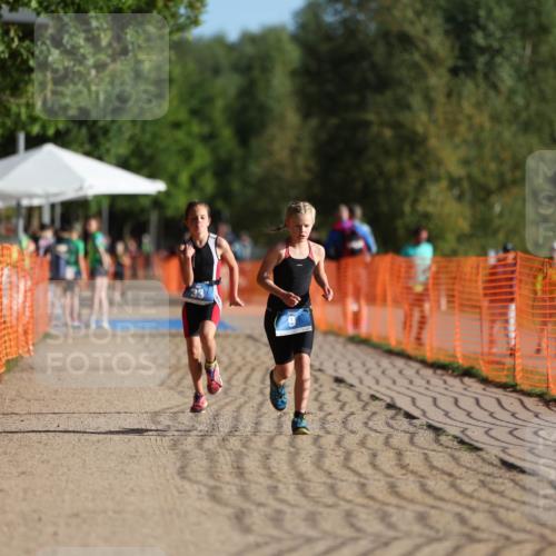 07.09.2025 - 19. Norderstedt Triathlon Michael Strokosch http://msf.ph/oto/8800101 07.09.2025 09:13:40 Laufen 9, 33 meine-sportfotos.de