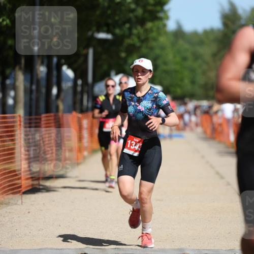 07.09.2025 - 19. Norderstedt Triathlon Michael Strokosch http://msf.ph/oto/8800604 07.09.2025 12:30:42 Laufen 703, 822, 1280, 1343 meine-sportfotos.de