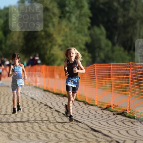 07.09.2025 - 19. Norderstedt Triathlon Michael Strokosch http://msf.ph/oto/8800842 07.09.2025 09:14:57 Laufen 7, 17, 34, 39 meine-sportfotos.de