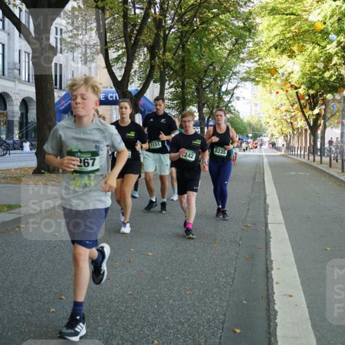 07.09.2025 - BARMER Alsterlauf Yannick Fuchs http://msf.ph/oto/8801023 07.09.2025 11:49:17 Laufen 267, 10, 1151, 242, 8235 meine-sportfotos.de