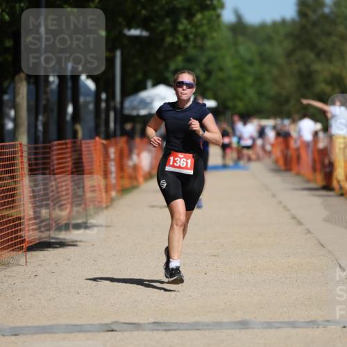 07.09.2025 - 19. Norderstedt Triathlon Michael Strokosch http://msf.ph/oto/8801083 07.09.2025 12:31:23 Laufen 215, 237, 1231, 1361 meine-sportfotos.de
