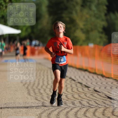 07.09.2025 - 19. Norderstedt Triathlon Michael Strokosch http://msf.ph/oto/8801476 07.09.2025 09:15:39 Laufen 16, 38 meine-sportfotos.de